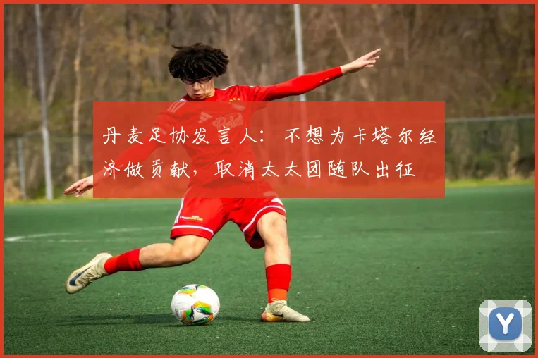 丹麦足协发言人：不想为卡塔尔经济做贡献，取消太太团随队出征