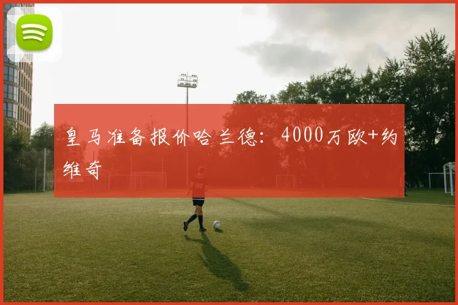 皇马准备报价哈兰德：4000万欧+约维奇
